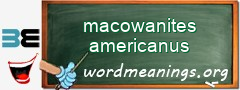 WordMeaning blackboard for macowanites americanus